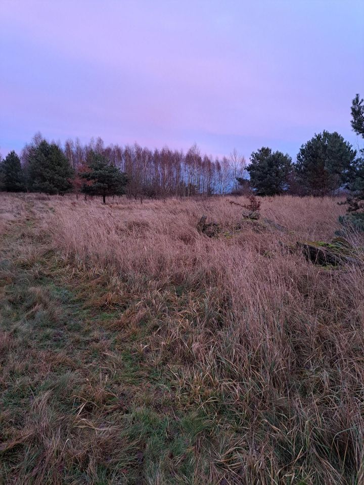 Działka budowlana Olbrachtów. Zdjęcie 3