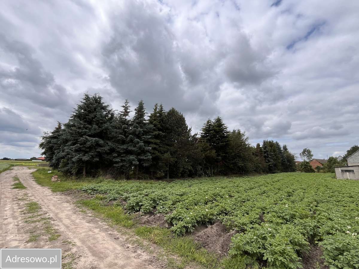 Działka budowlana Stara Góra. Zdjęcie 10