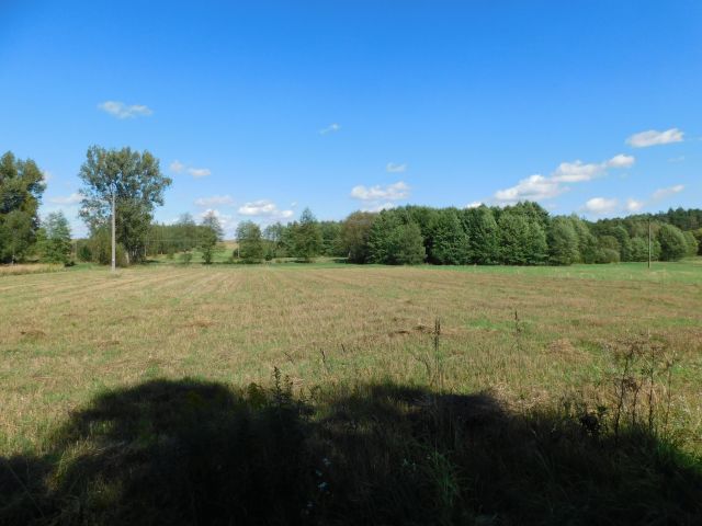 Działka rolna Galów Zagosiek. Zdjęcie 12