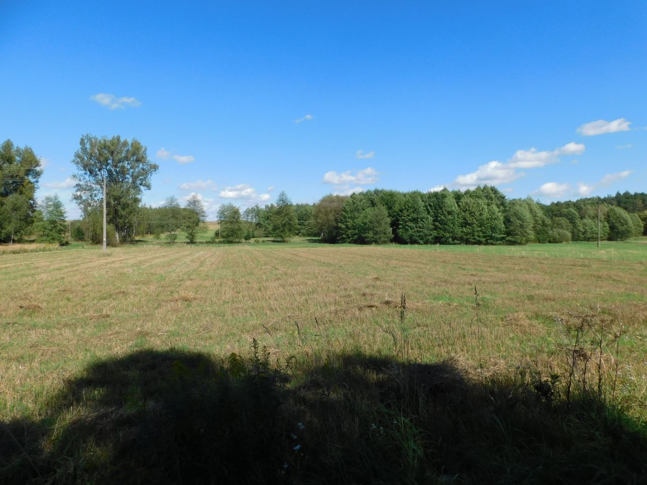 Działka rolna Galów Zagosiek. Zdjęcie 12