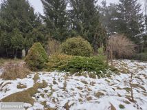 dom wolnostojący, 6 pokoi Jerzykowo, ul. Leśna. Zdjęcie 1