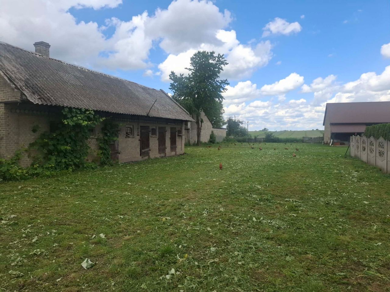 Działka rolno-budowlana Tychów Stary. Zdjęcie 6