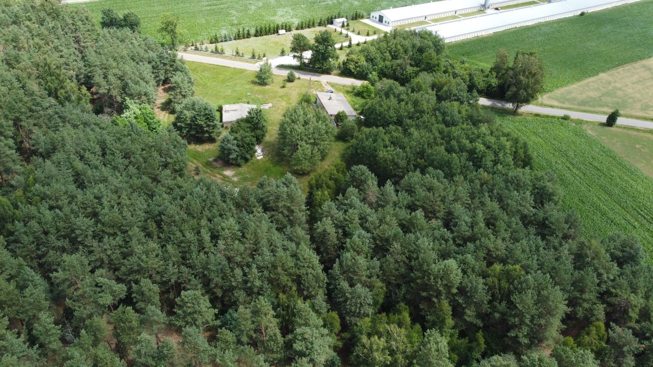 Działka rolno-budowlana Poniatowo, ul. Leśna. Zdjęcie 6