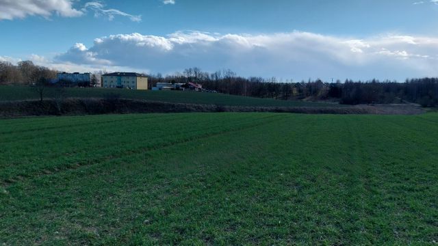 Działka inwestycyjna Mały Klincz. Zdjęcie 1