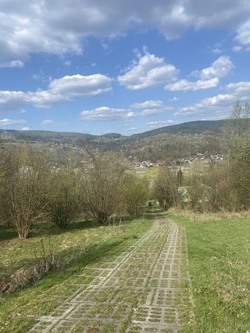 Działka rolno-budowlana Grzechynia Kudziówka Zarąbska, Grzechynia. Zdjęcie 1