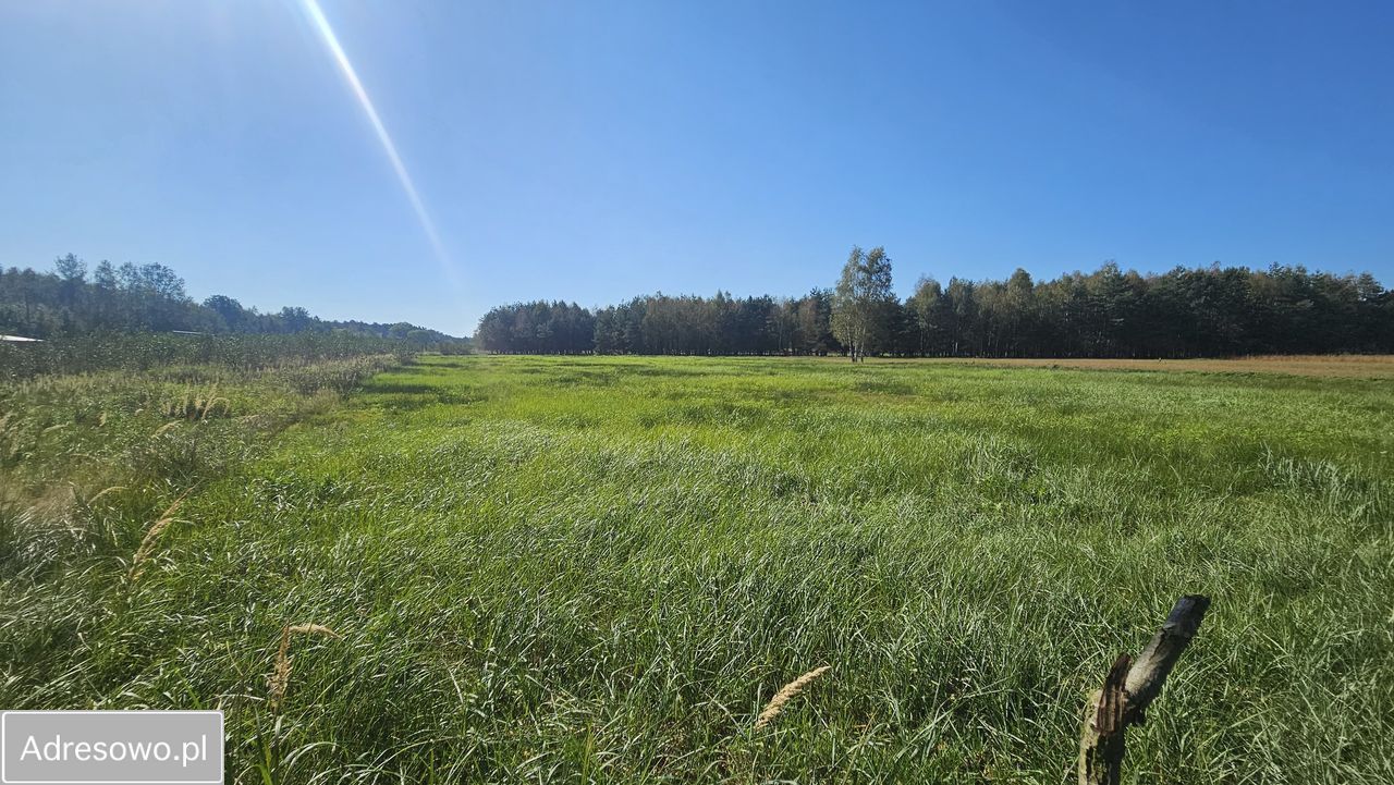Działka budowlana Luboradów. Zdjęcie 4