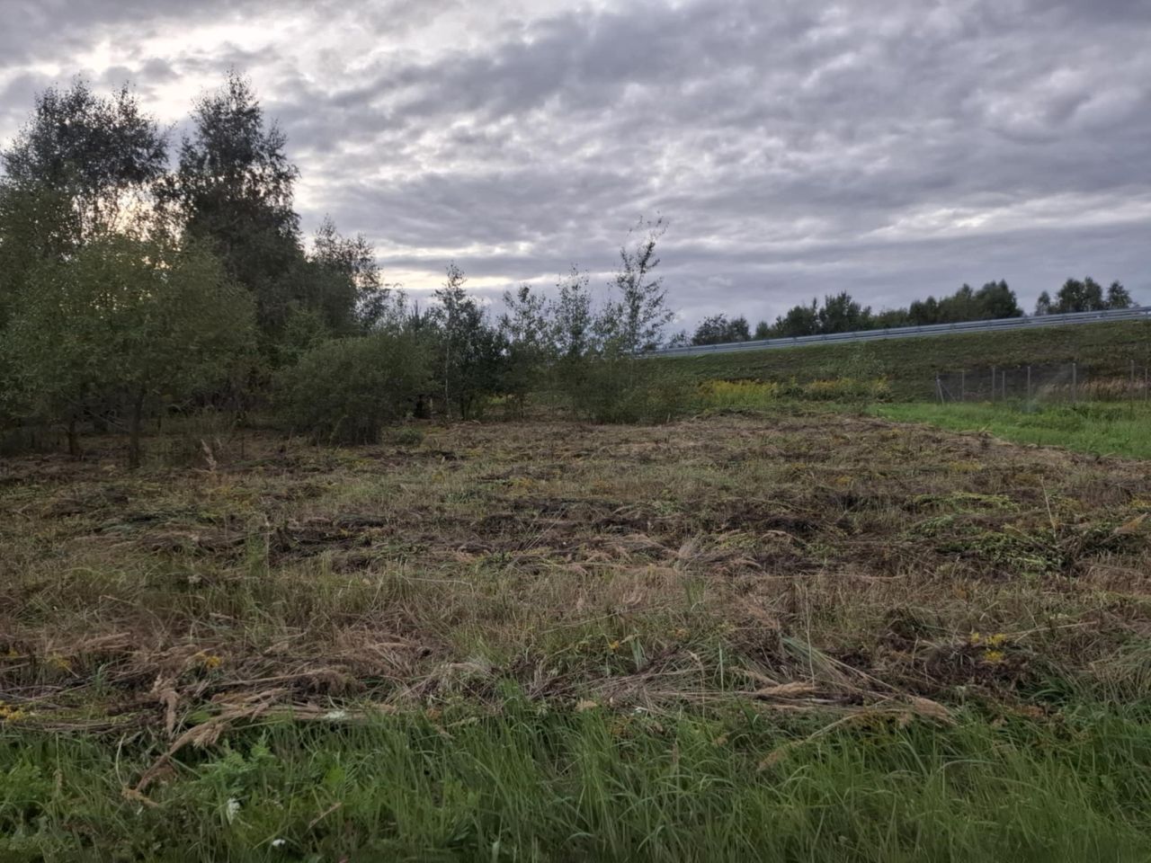 Działka rolno-budowlana Radomsko Bogwidzowy, ul. Jeżynowa. Zdjęcie 2