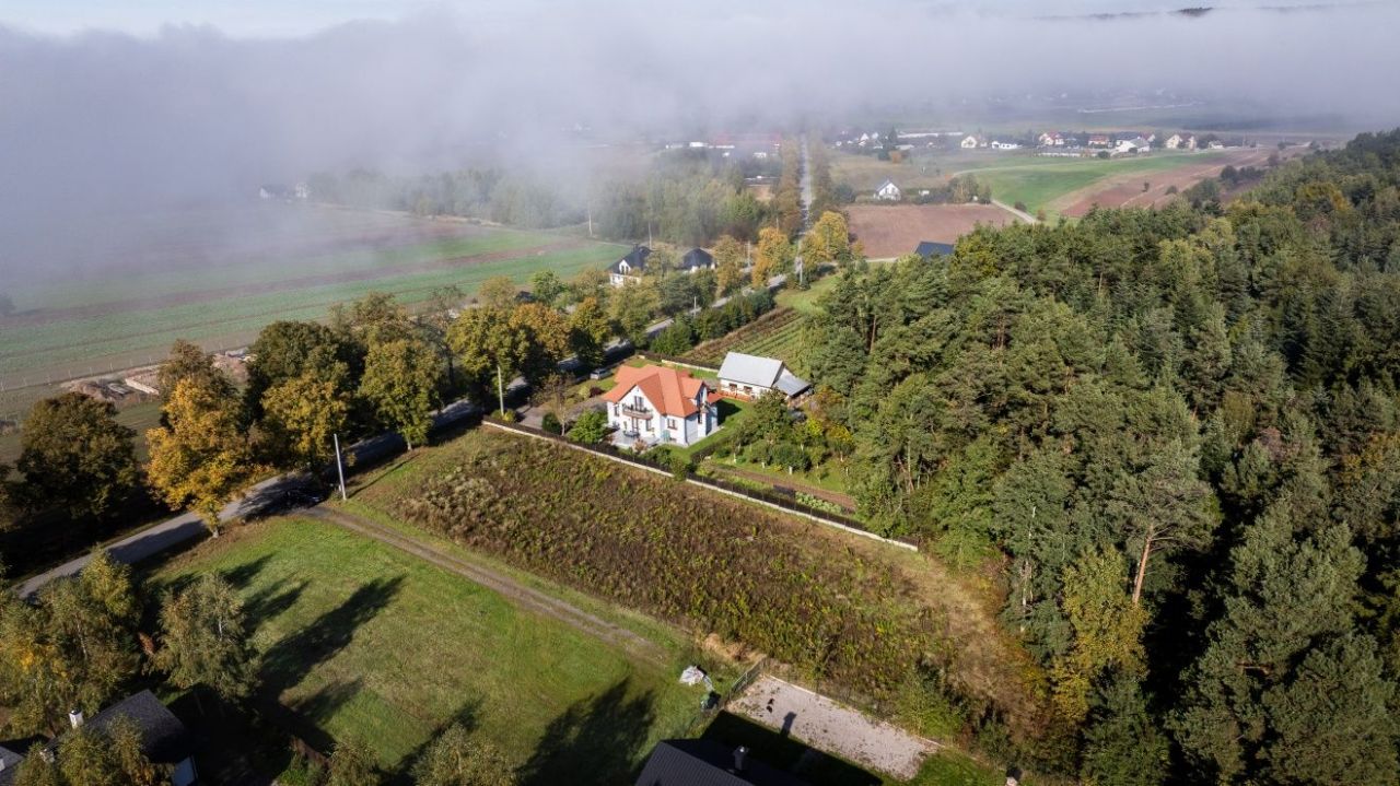 Działka budowlana Oblęgorek. Zdjęcie 6