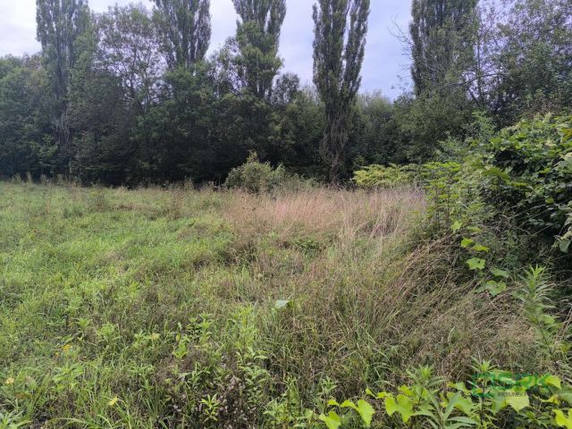 Działka Katowice, ul. Zamkowa. Zdjęcie 4