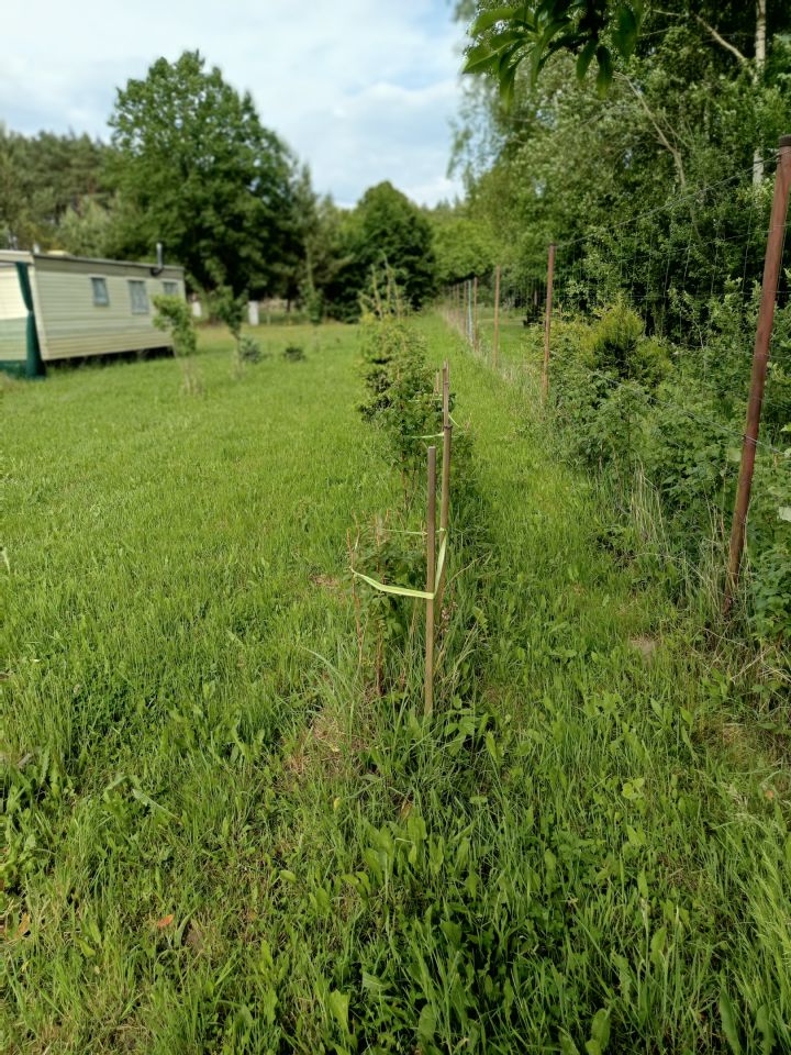 Działka rolno-budowlana Klempicz, Klępicz 20b. Zdjęcie 22