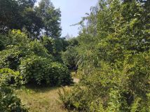 Działka rod Kamieniec Wrocławski. Zdjęcie 1