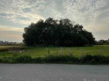 Działka inwestycyjna Wolbrom. Zdjęcie 1