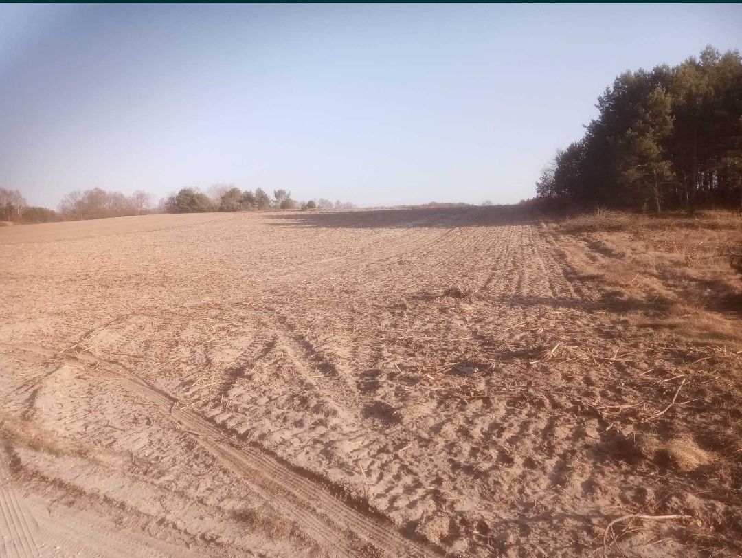 Działka budowlana Białkowo. Zdjęcie 6