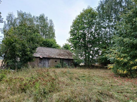 Działka rolna Zwierzyniec Mały. Zdjęcie 1