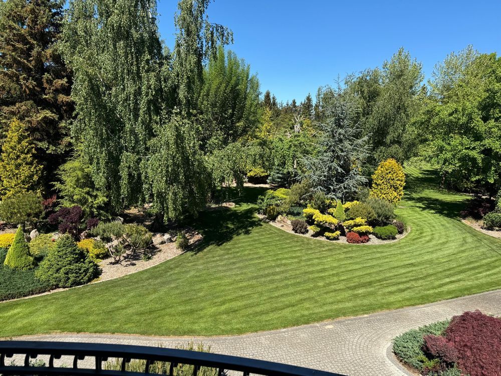 dom wolnostojący Ciechanów. Zdjęcie 7