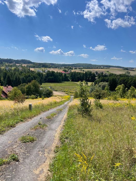 Działka budowlana Zamłynie. Zdjęcie 4
