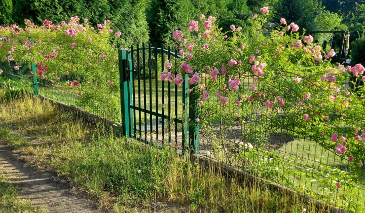 Działka rod Tarnowskie Góry Centrum, ul. Bytomska