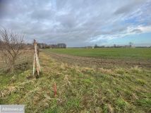 Działka budowlana Wierzbocice. Zdjęcie 4