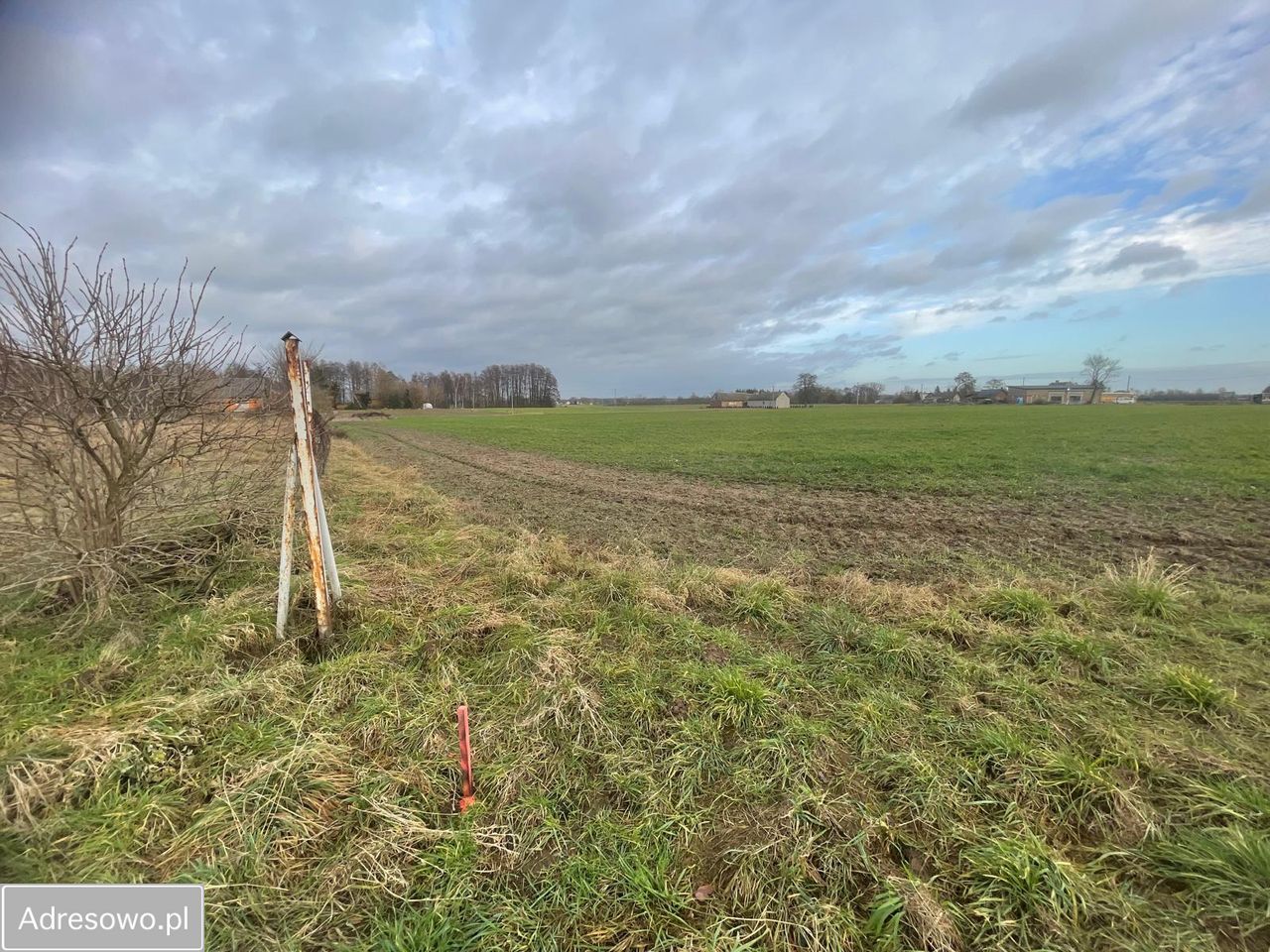 Działka budowlana Wierzbocice. Zdjęcie 5