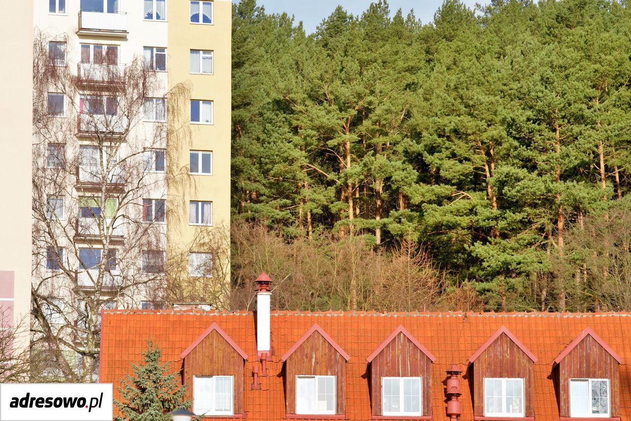 Mieszkanie 1-pokojowe Gdańsk Oliwa, ul. Karpacka. Zdjęcie 11