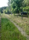 Działka budowlana Bledzew. Zdjęcie 2