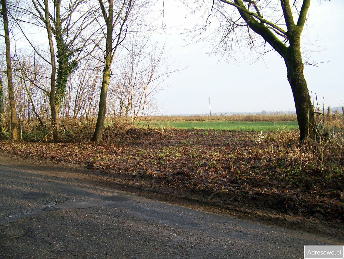 Działka rolna Dargikowo. Zdjęcie 3