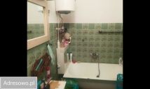 Mieszkanie 2-pokojowe Trzcińsko-Zdrój, ul. Cmentarna. Zdjęcie 3