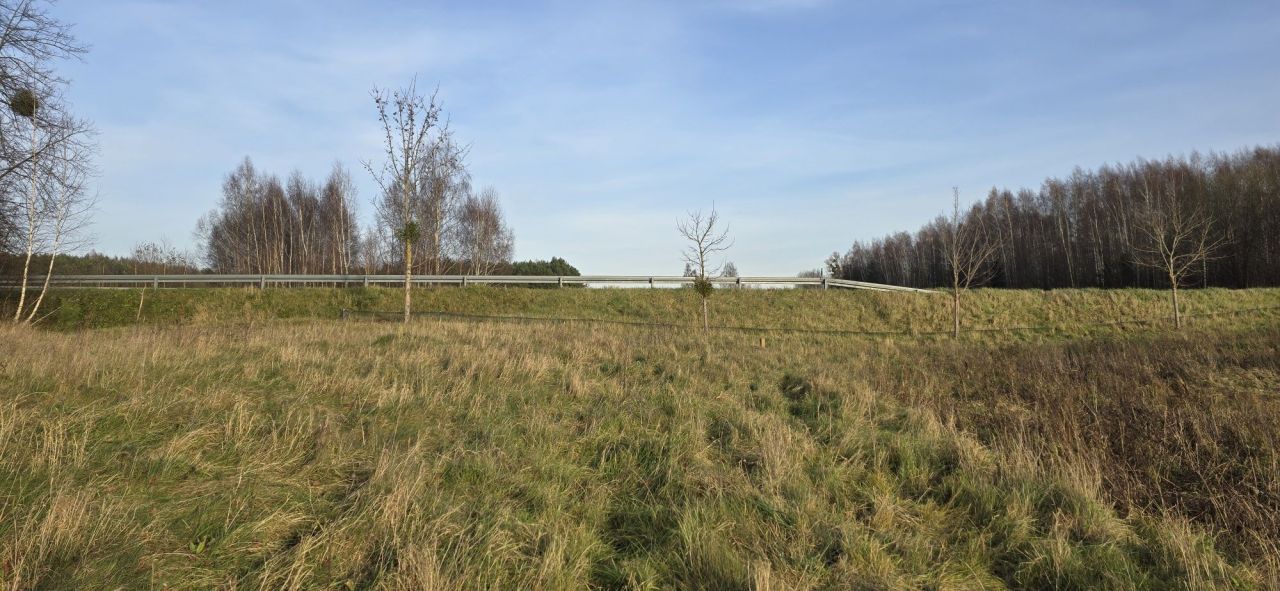 Działka rolna Runowo. Zdjęcie 4