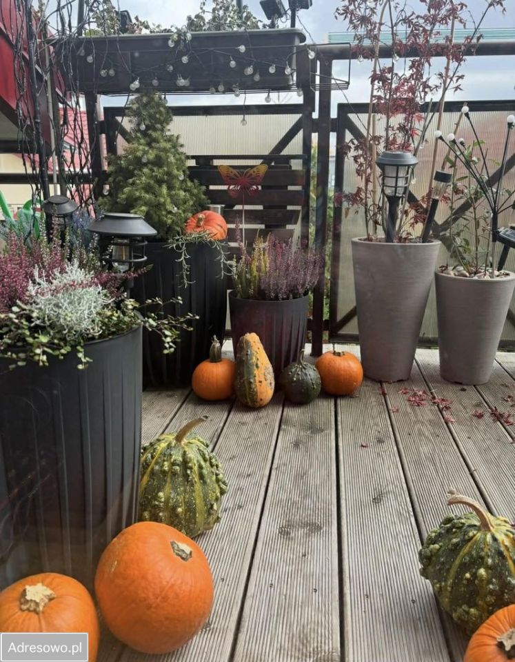 Mieszkanie 3-pokojowe Nowa Iwiczna, ul. Zimowa. Zdjęcie 7