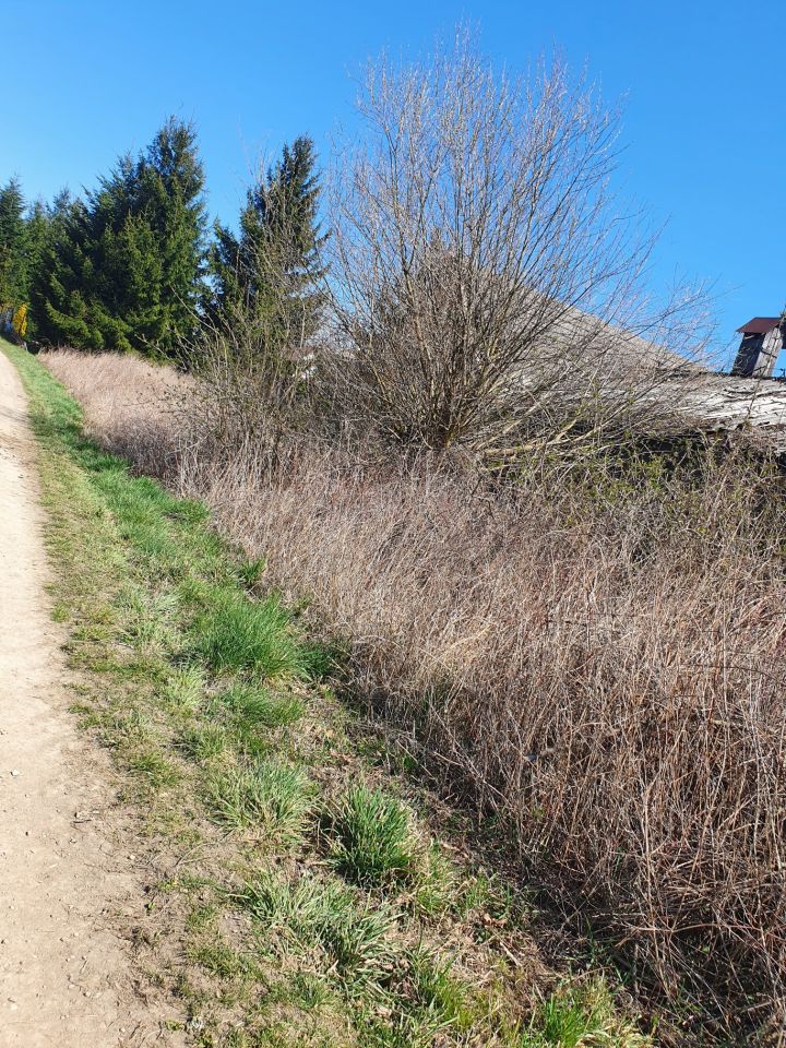 dom wolnostojący, 3 pokoje Okleśna. Zdjęcie 8