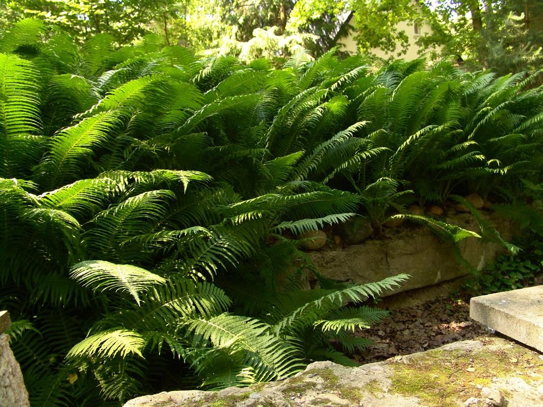 dom wolnostojący, 3 pokoje Magdalenka, ul. Piaskowa. Zdjęcie 42