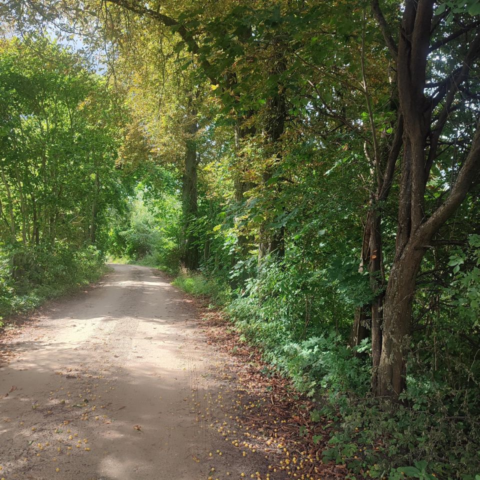 Działka budowlana Smolno