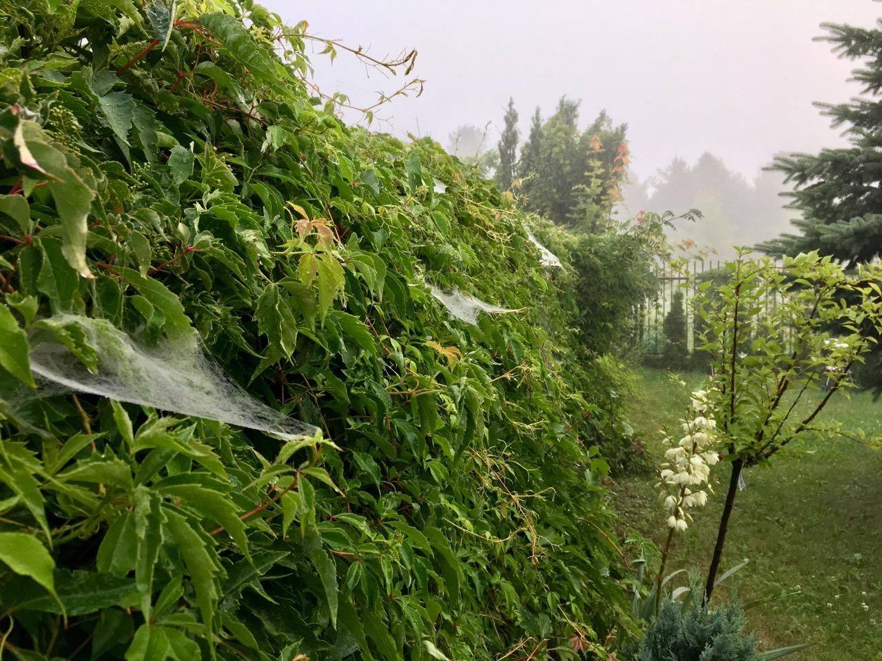 dom szeregowy, 5 pokoi Łódź Stoki, ul. Bronisława Czecha. Zdjęcie 11