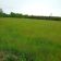 Działka budowlana Kłanino, ul. Polna. Zdjęcie 4