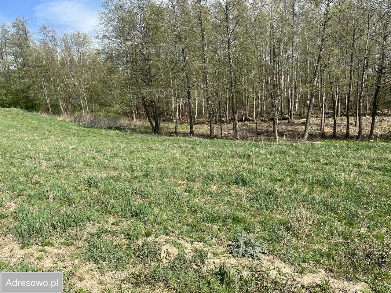 Działka Grzegrzółki. Zdjęcie 6