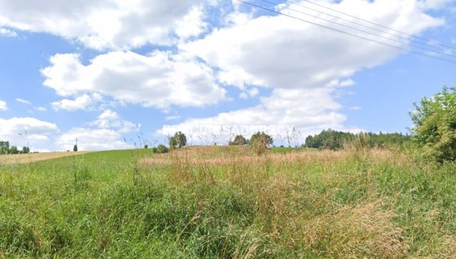 Działka rolno-budowlana Młodziejowice. Zdjęcie 1