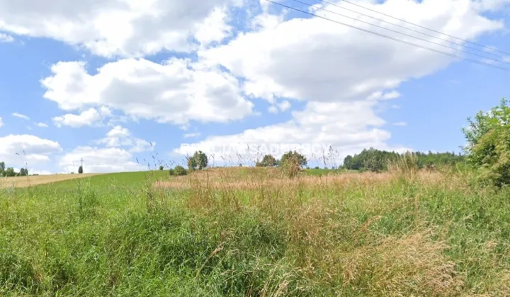 Działka rolno-budowlana Młodziejowice