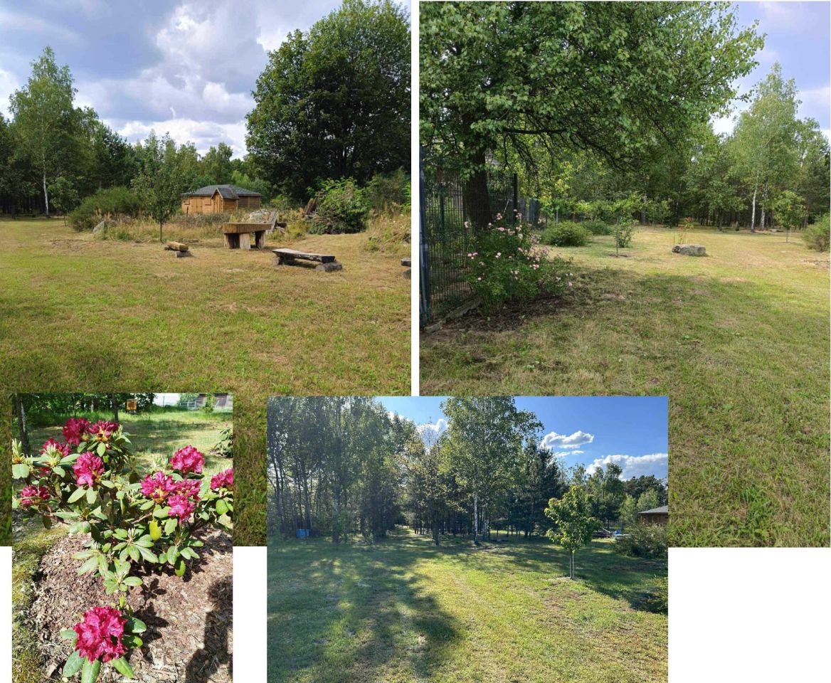 Działka budowlana Łazy-Dąbrowa. Zdjęcie 8