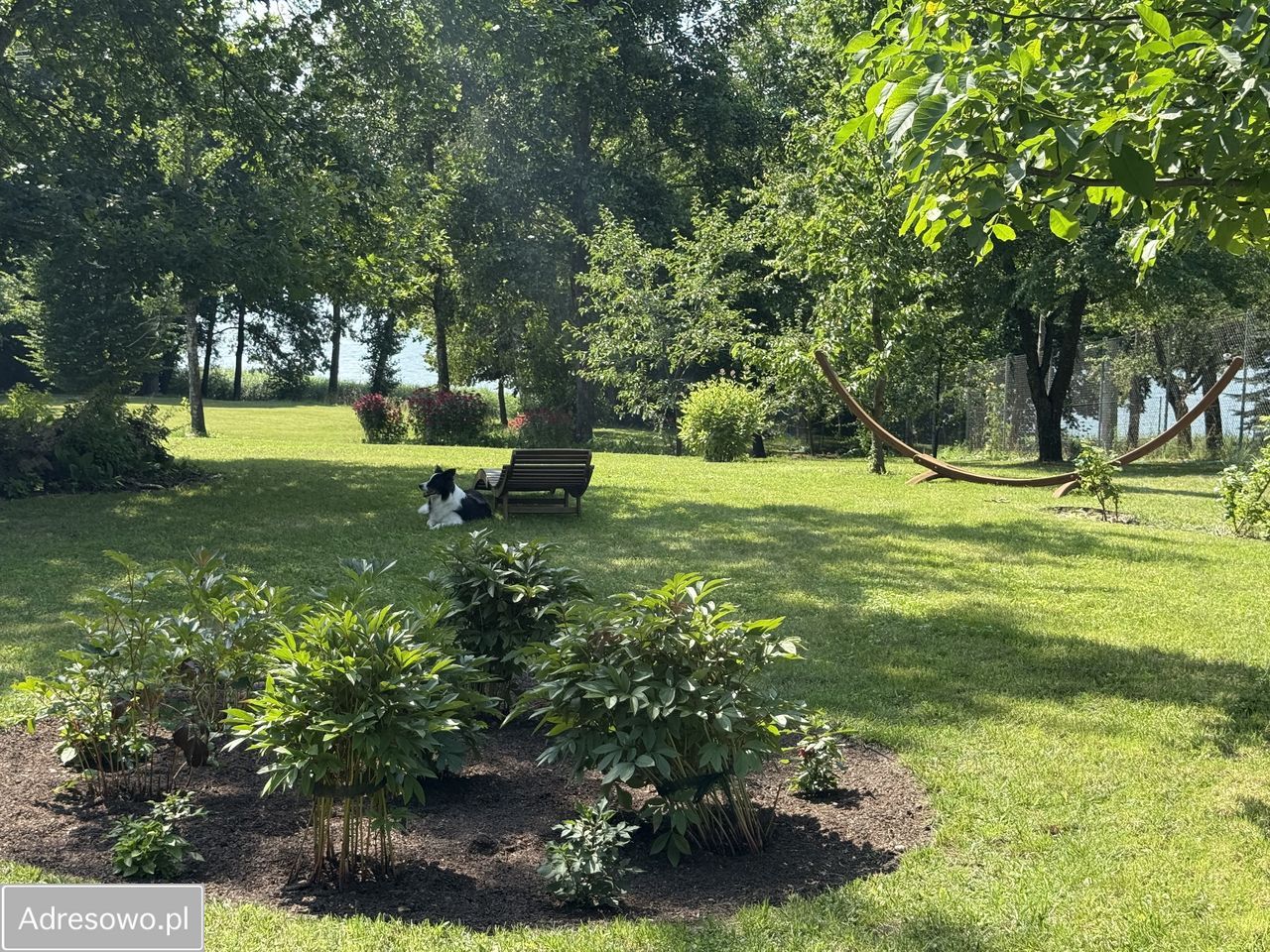 Działka budowlana Stare Kiejkuty. Zdjęcie 7