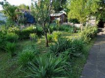 Działka rod Ząbki. Zdjęcie 2