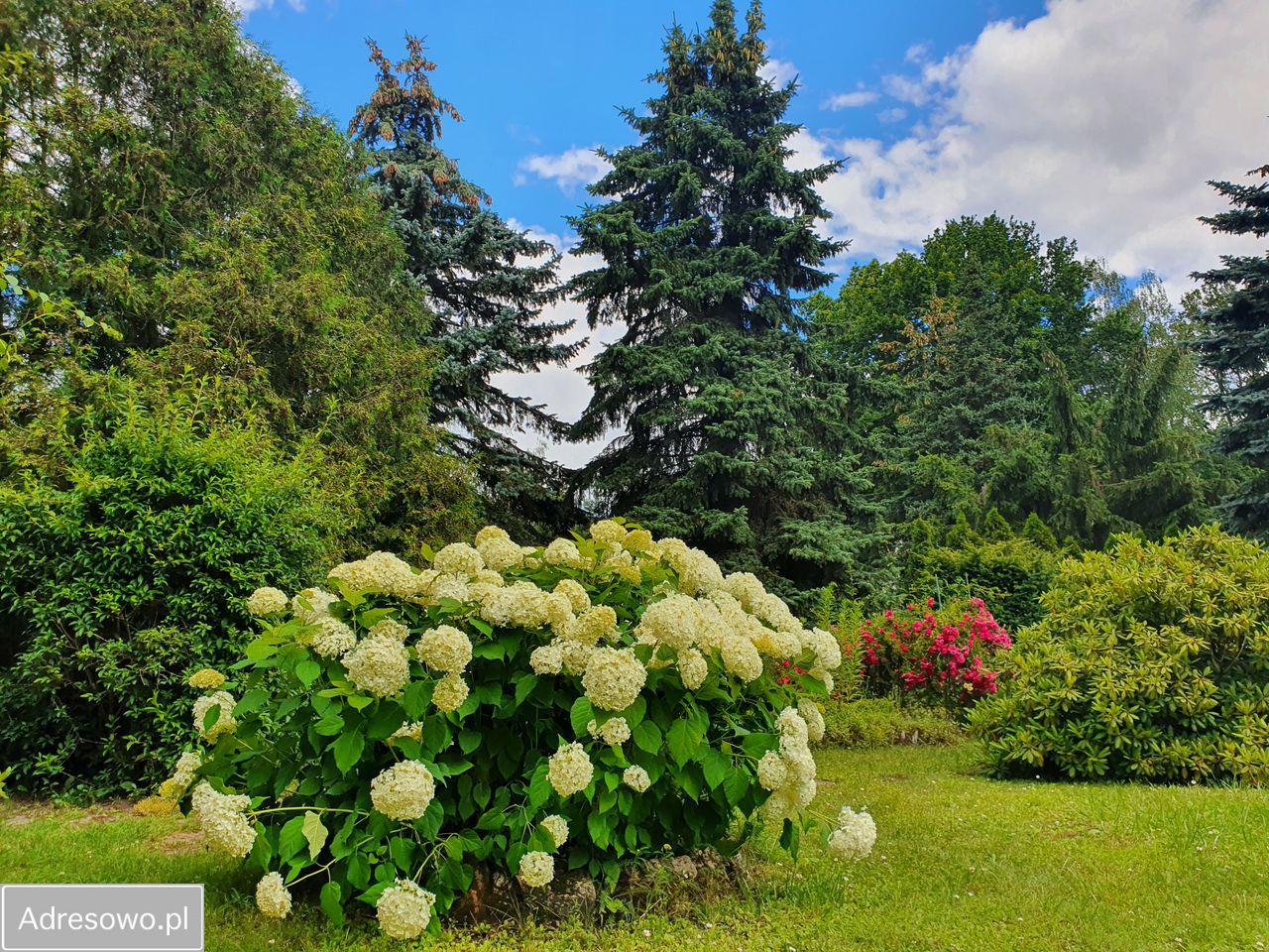 Działka rod Okołowice. Zdjęcie 5