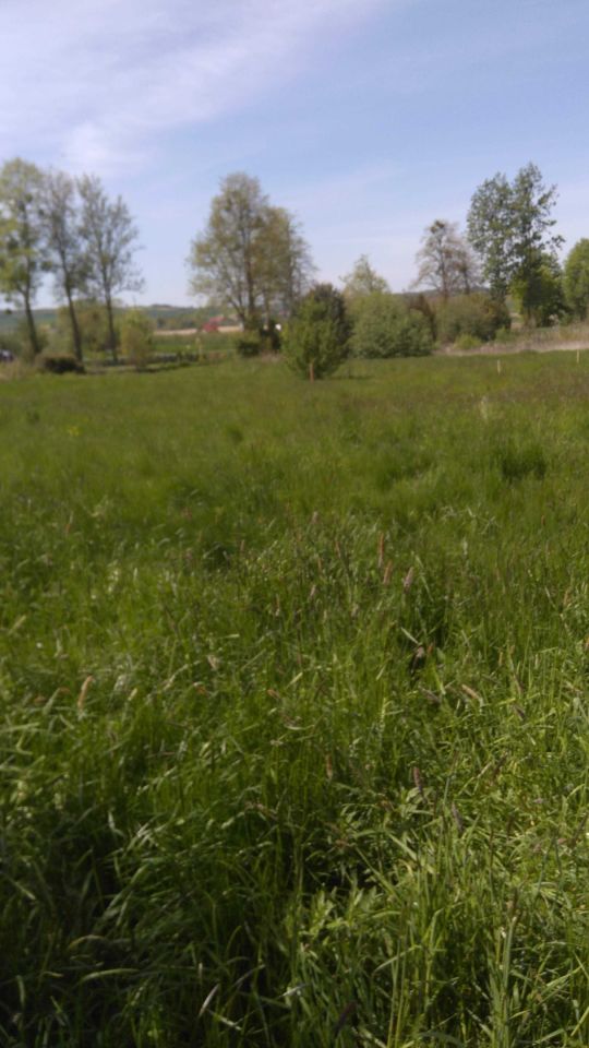 Działka budowlana Stary Dwór. Zdjęcie 7