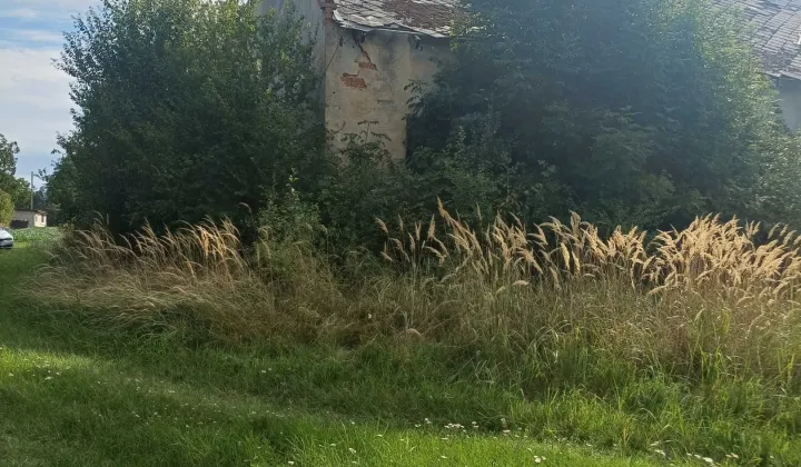 Działka inwestycyjna Kobyla Góra