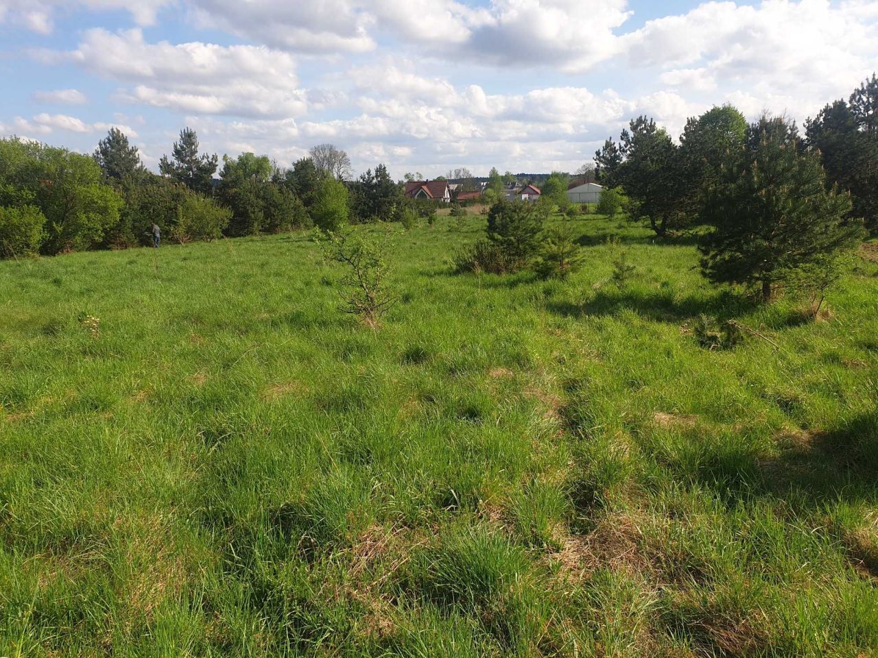 Działka budowlana Napiwoda. Zdjęcie 5