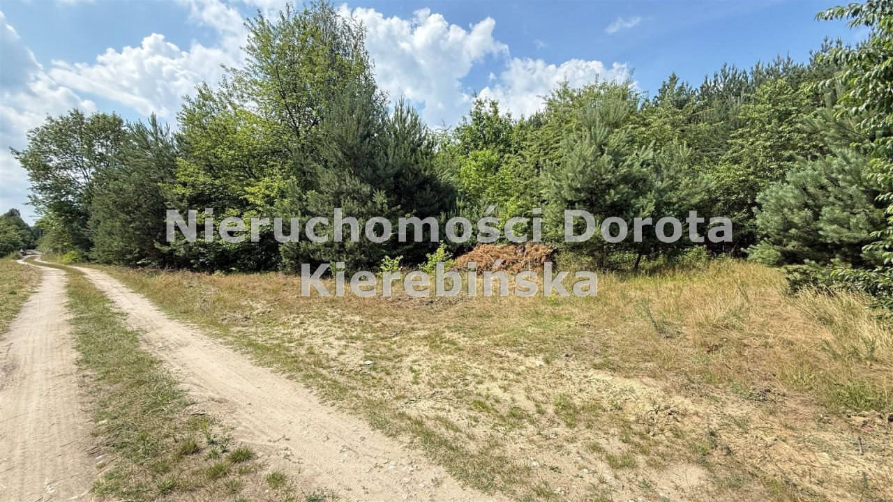 Działka rekreacyjna Swolszewice Małe. Zdjęcie 12