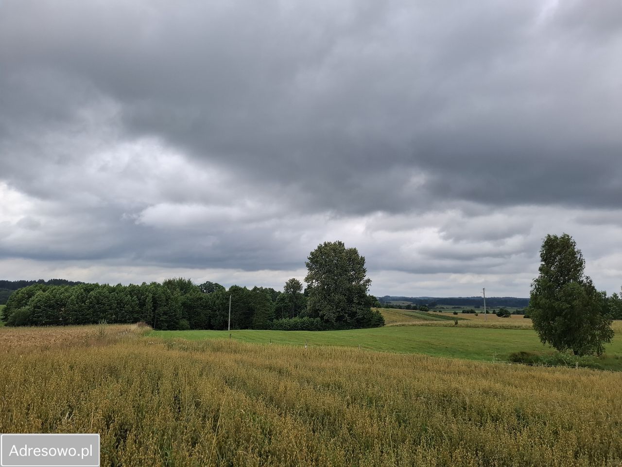 Działka rolna Pluty. Zdjęcie 6