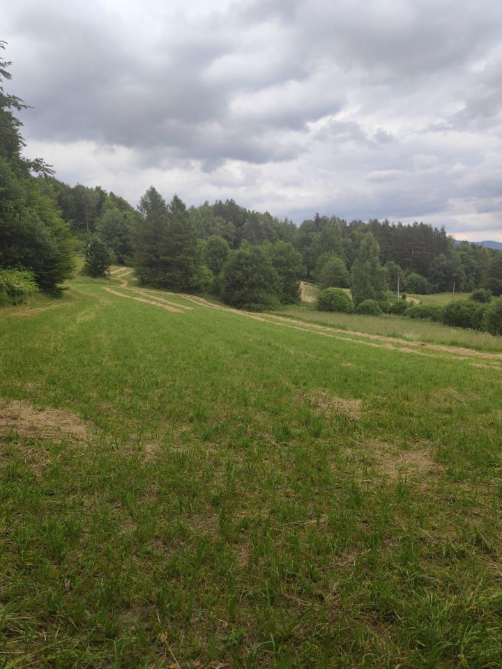 Działka budowlana Mszana Dolna. Zdjęcie 3