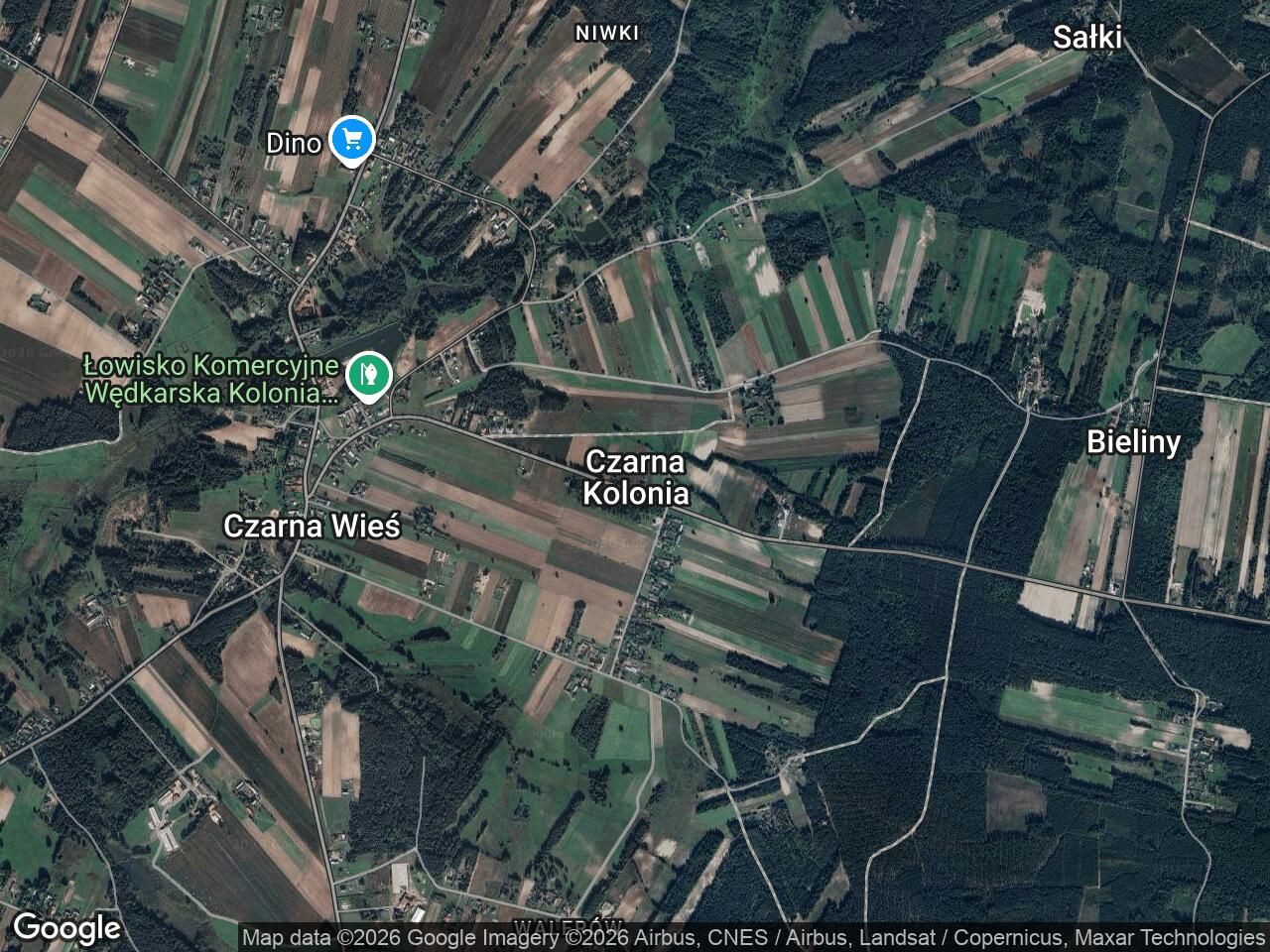 Działka rekreacyjna Czarna Kolonia. Zdjęcie 1