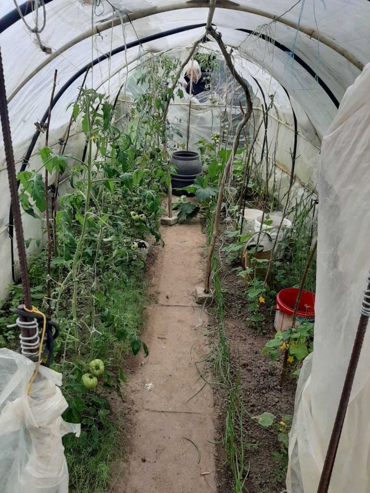 Działka rod Siemianice. Zdjęcie 4