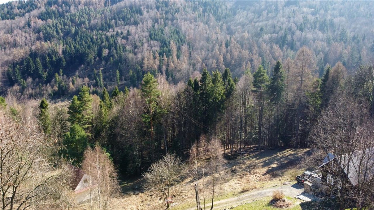 Działka Międzybrodzie Bialskie. Zdjęcie 6